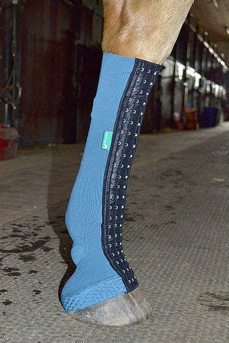 equicrown canada|equine compression socks.